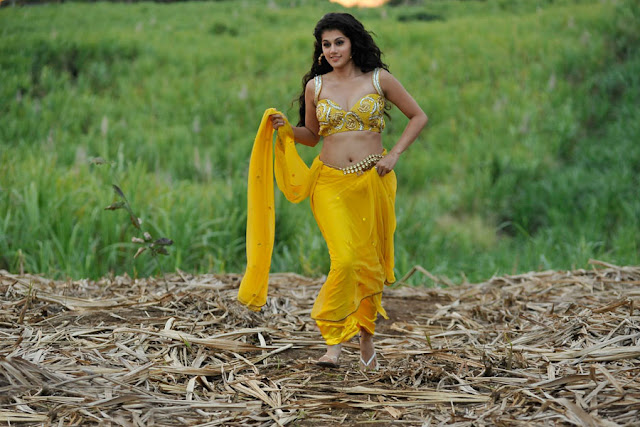 tapsee new spicy saree in mogudu