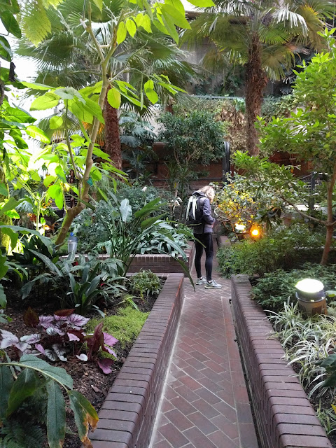 101 Free London Things Barbican Centre Conservatory