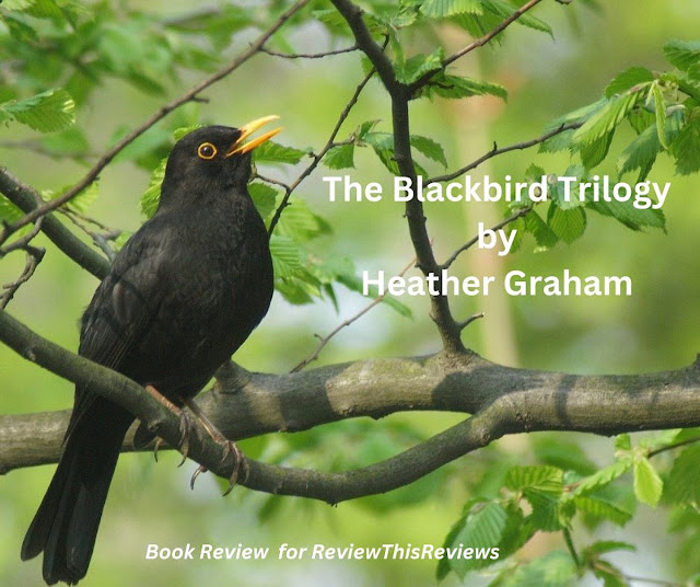 Blackbird on a tree branch