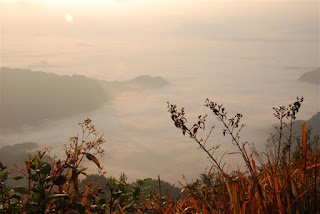 Phu Chi Fa Forest Park Chiangrai