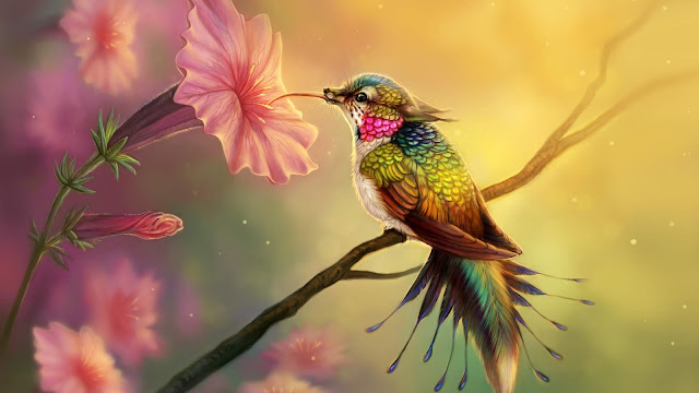 Hummingbird, Birds, 4k, Hd, Abstract, Artist, Digital Art Images