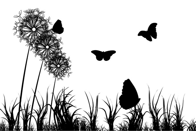 Black And White Vector Graphics. Spring Vector Image