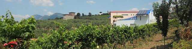 Aia dei Colombi winery in Campania