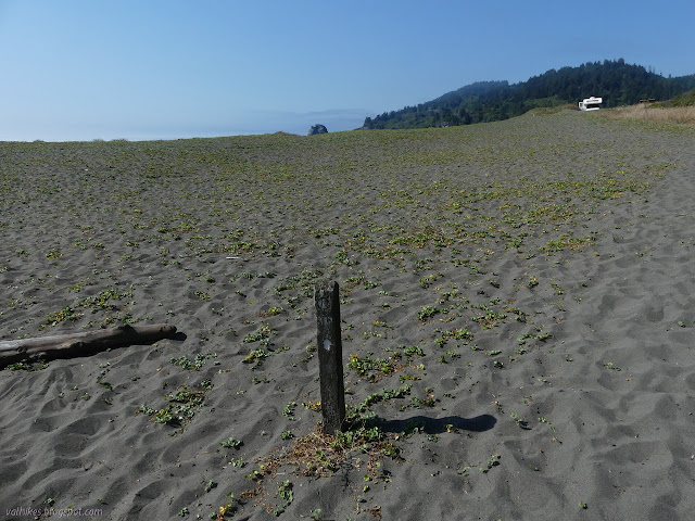 trail marked on the beach