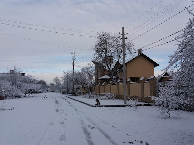 Провулок Танковий (Кременчук)