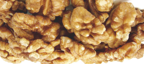 Walnuts (Akhrot - Dry Fruits) - Acne And Ulcers