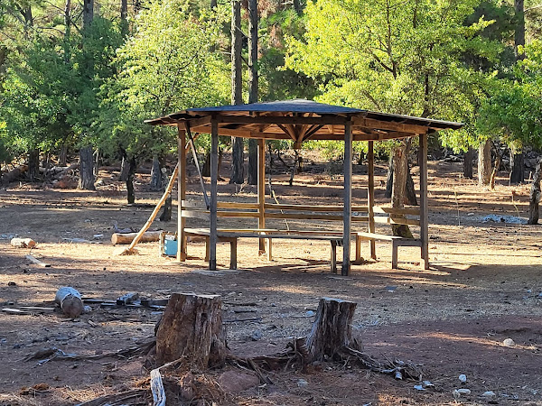 A shelter in the woods after the first climb