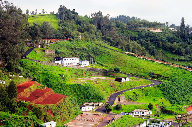 Nilgiris countryside