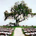 Outdoor Reception Decor Ideas