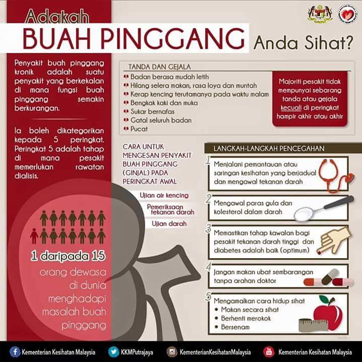 TANDA PENYAKIT BUAH PINGGANG - INILAH REALITI BUKAN FANTASI