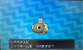 色違いポケモンクイズ 色違いヒポポタスをゲット ふみの色違いポケモンブログ