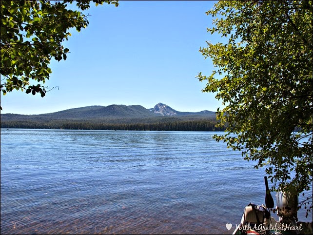 Campsite View 1