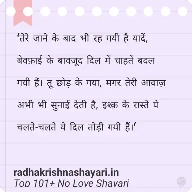 Best No Love Shayari Hindi