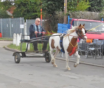 Brigg Horse Fair 2016 - picture eight on Nigel Fisher's Brigg Blog