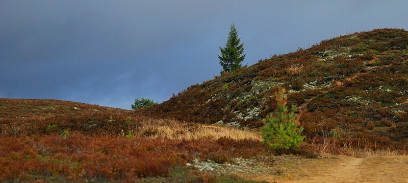 DSC_7077_väike