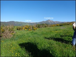 DSC00746