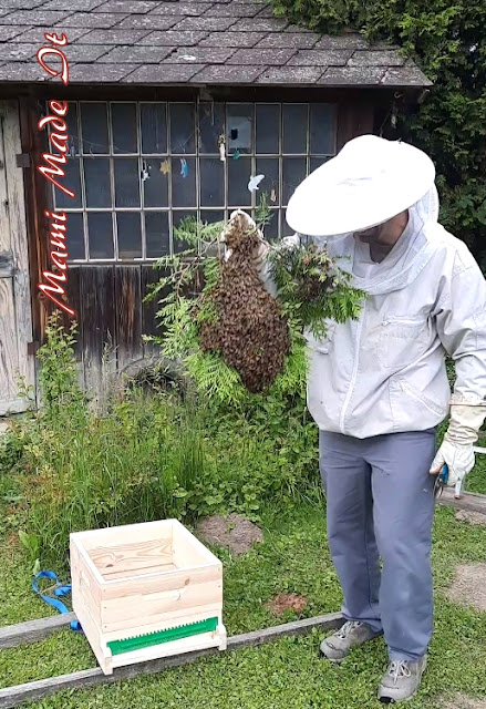 Bienenernte - Bee Harvest