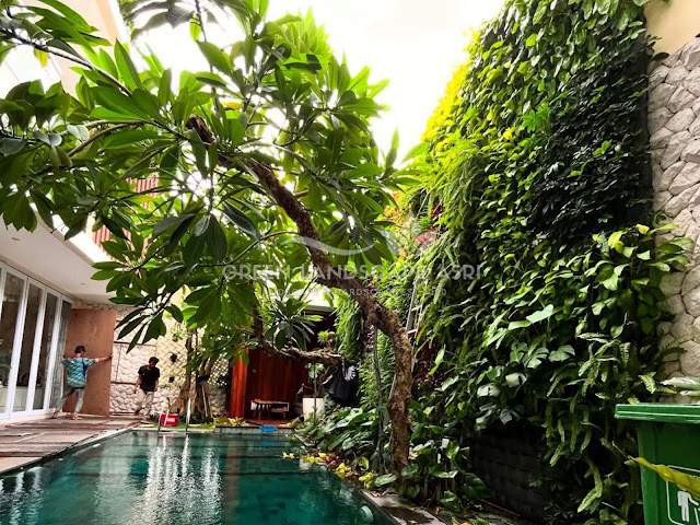 Jasa Vertical Garden Luwu Utara Profesional - Pembuatan Taman Vertikal Tanaman Asli