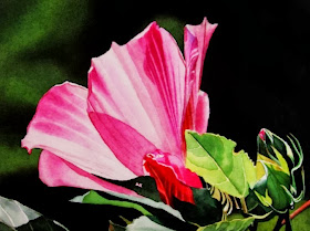 flores-en-acuarela
