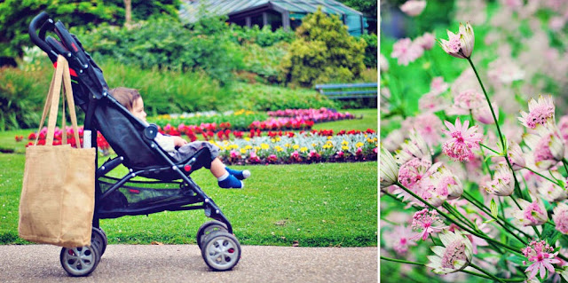 Sheffield botanical gardens