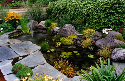 Best Ideas to design your garden with small pools design in front home