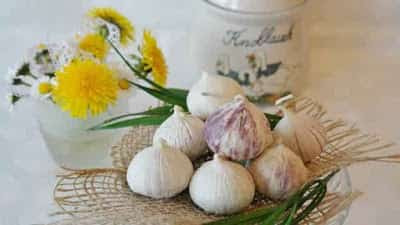 garlic-medicinal-properties