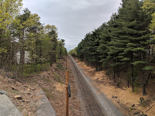 tree trimming is very evident as the MBTA makes room for the new PTC system being installed on the Franklin Line. Only 2 more weekends for shuttle service!