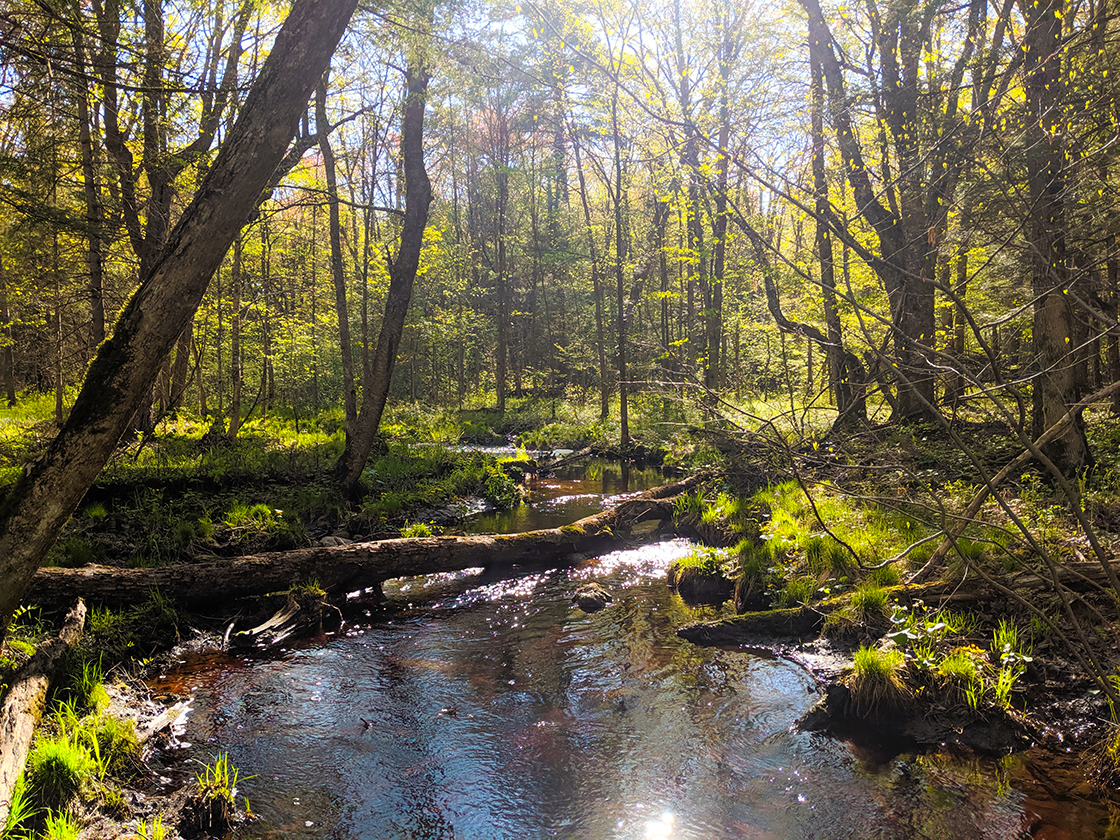 Lost Lake Esker State Natural Area