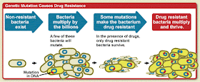 Causes of Antimicrobial Resistance