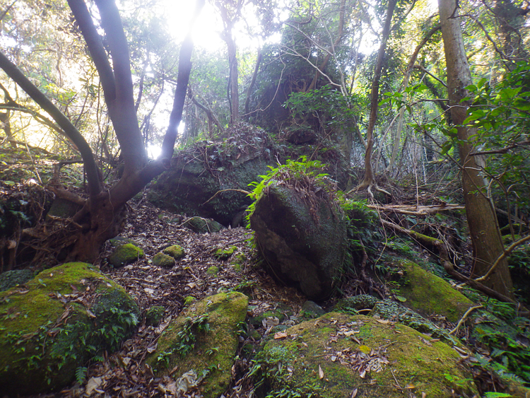 スゴログ 石田村 巨石の森 巨石群