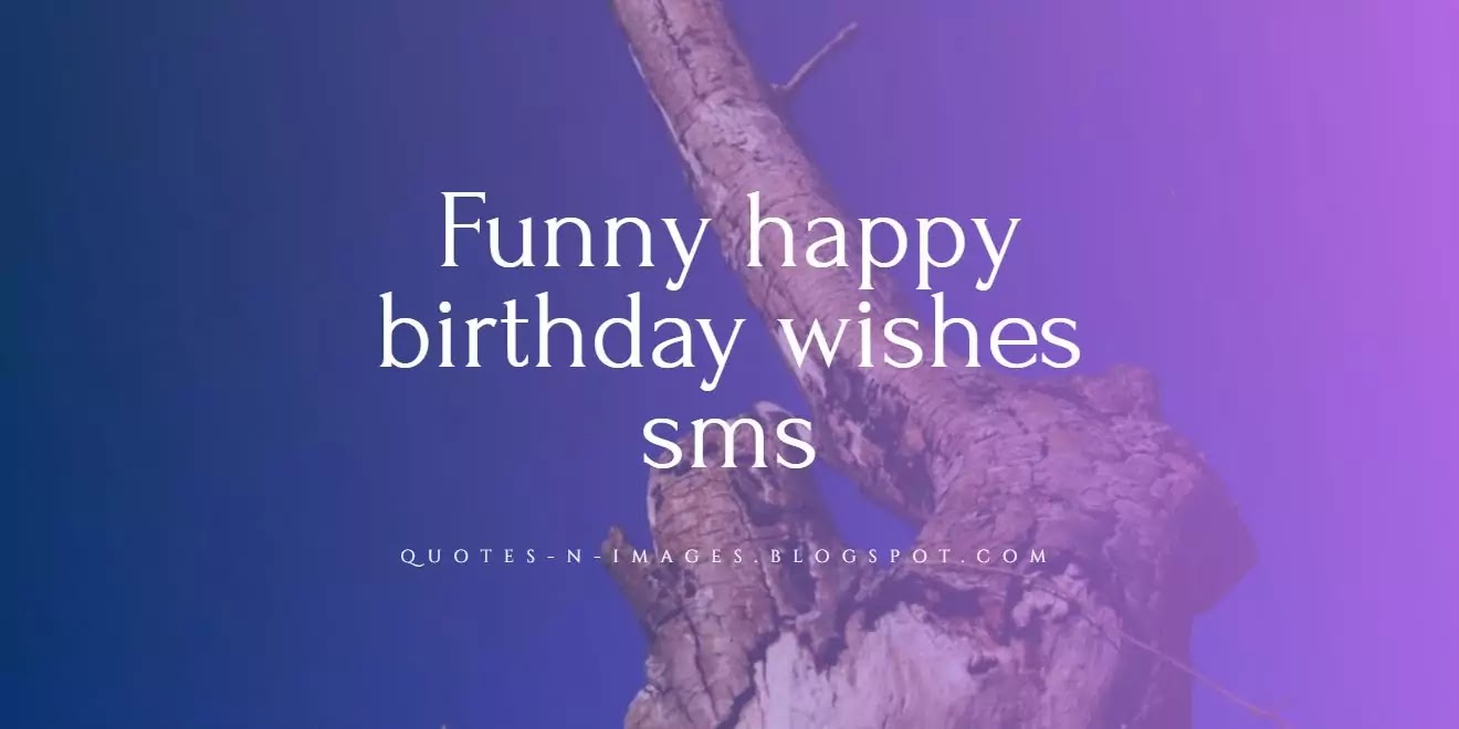 Funny happy birthday wishes sms