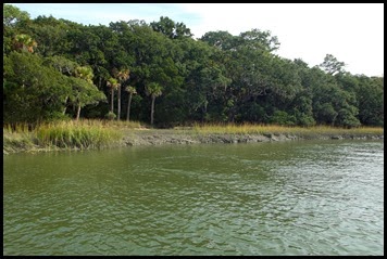 Edisto Trails 023