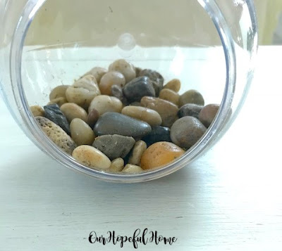 succulent terrarium diy river rocks houseplant faux plant