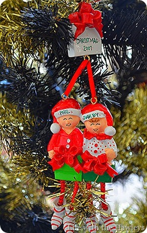 DSC_0769_thumb[4]