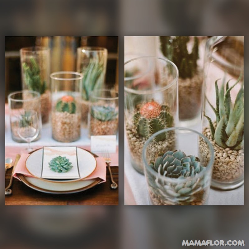 Centros-de-mesa-para-Boda-con-cactus-y-suculentas-1