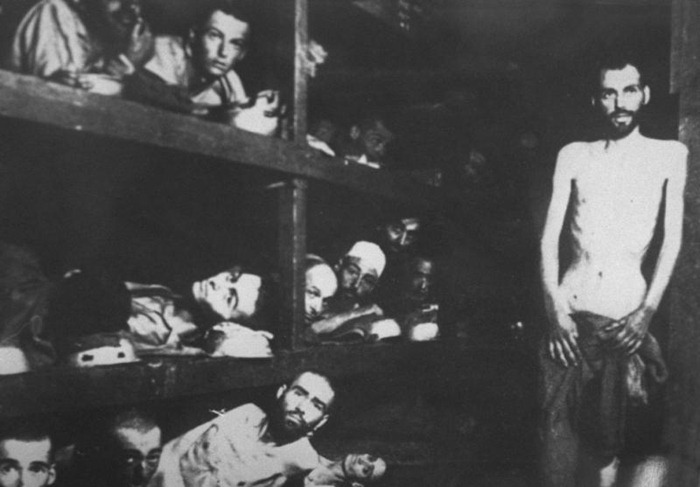 Auschwitz (4)
