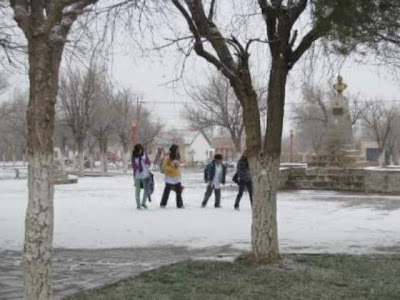 Con el frío de los últimos días llegó la nieve a la Región Sur