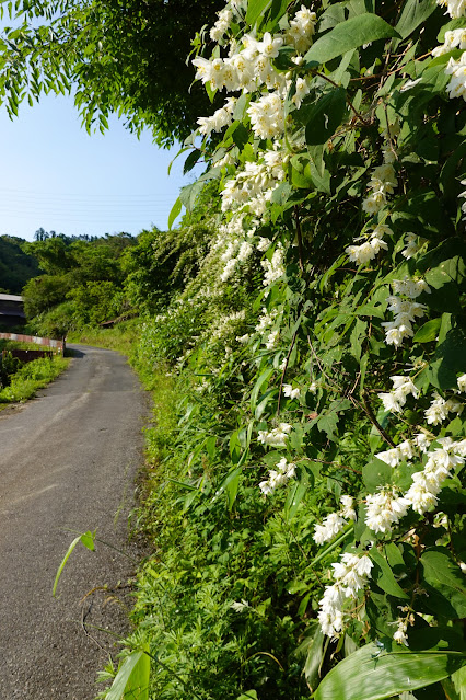 鳥取県西伯郡南部町東上