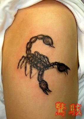 scorpion tattoo design on the arm