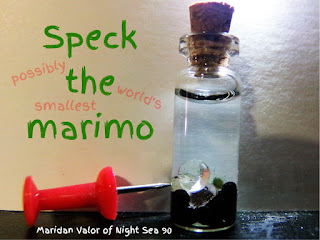 Update on Speck; possibly the world's smallest marimo.