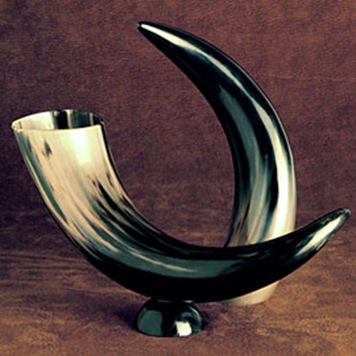 buffalo horns from z gallerie