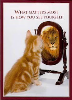 Cat looking in a mirror at reflection of a lion.