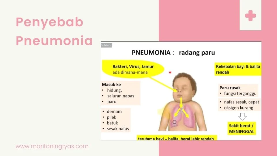 penyebab pneumonia