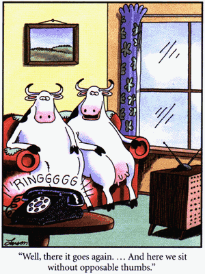 Far Side Cows without opposable thumbs