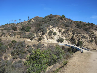 Looking north toward Mt. Hollywood