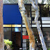 Travel: The Eames House, Los Angeles