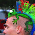 Ohh! There is a chameleon on my head [Image]