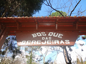 Bosque das Cerejeiras no Parque do Carmo