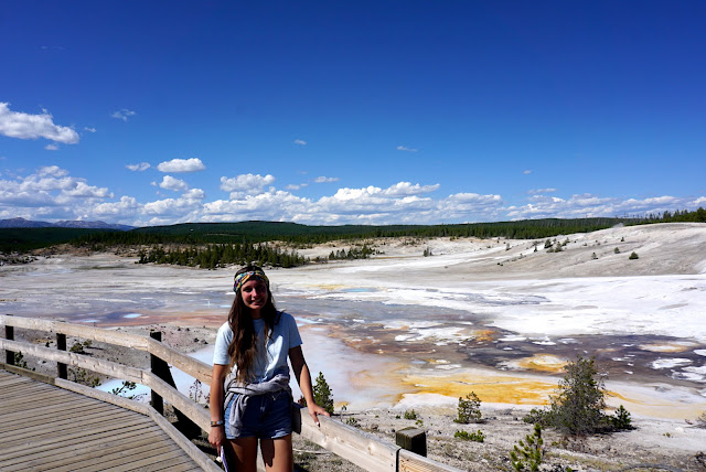 porcelain basin norris geyser basin