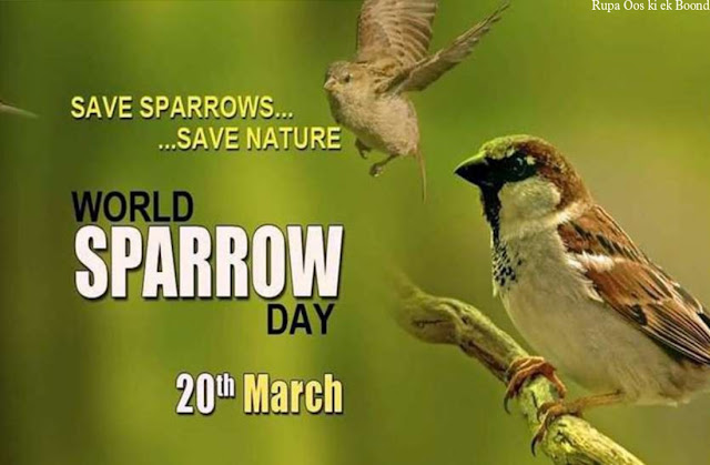 World Sparrow Day (विश्व गौरैया दिवस), 20 March